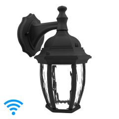 Smart WiFi LED Outdoor Wall Light, Black w/ Water Glass, 850 Lumens, CCT 2700K - 6500K, Google Home/Alexa