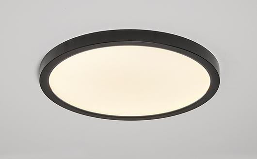 maaさま専用•*¨*•.¸♬︎ 14” Black LED Flush Mount Ceiling Light, 5 CCT 2700K-5000K