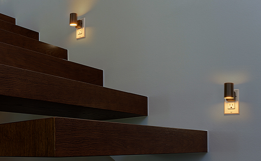 Decorative LED Night Light, Photocell & Adjustable Brightness